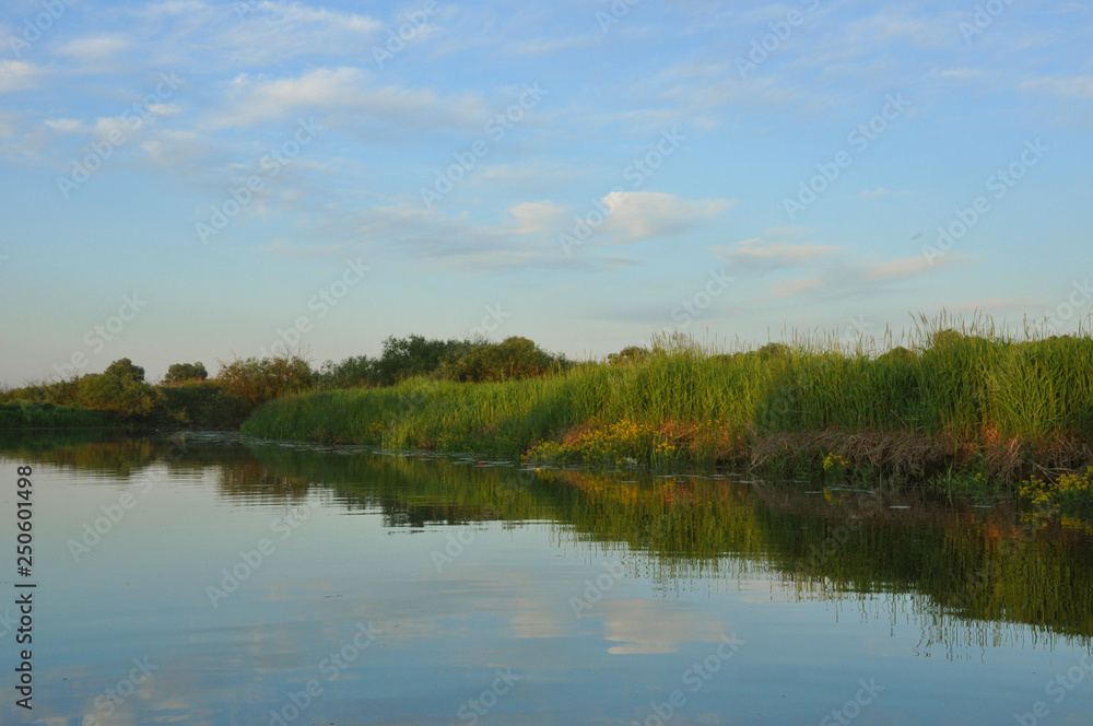 Travel and rest. Typical swampy landscape of Belarusian marshes. Travel and rest. Typical swampy landscape of Belarusian marshes.