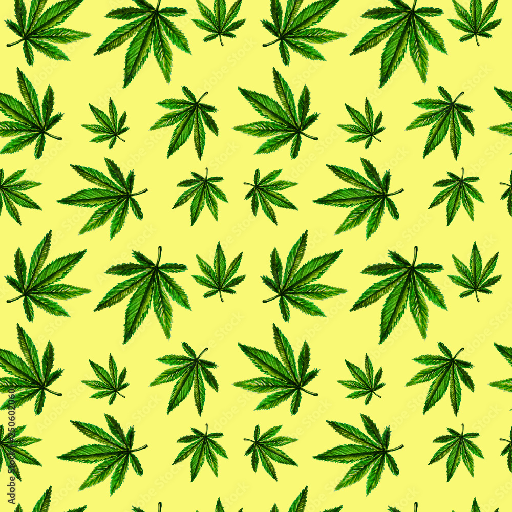  Seamless pattern of cannabis leaves. Watercolor illustration. Legalization of marijuana.