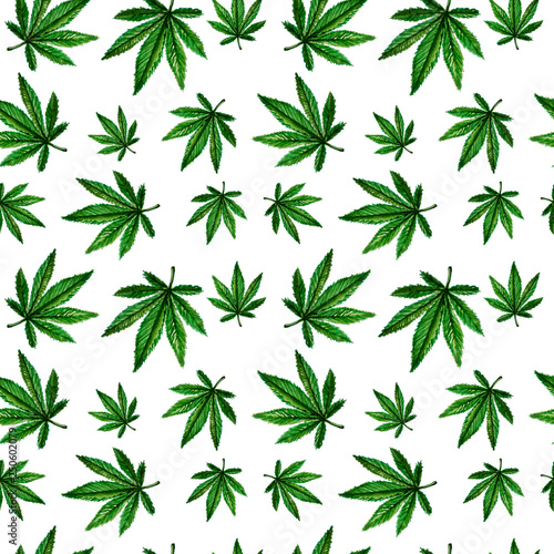  Seamless pattern of cannabis leaves. Watercolor illustration. Legalization of marijuana.