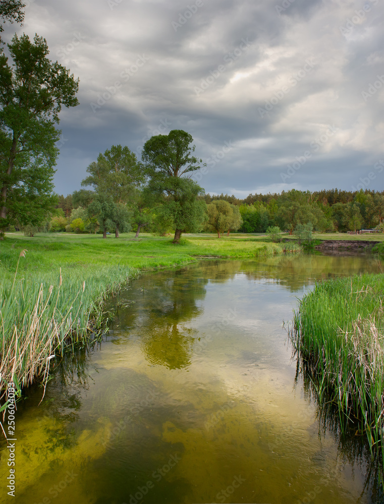 Fototapeta premium Morning on the river