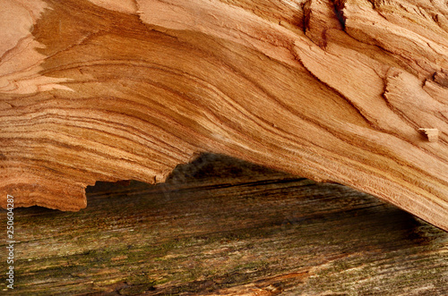 untreated wood,internal structure is similar to the sandy grotto