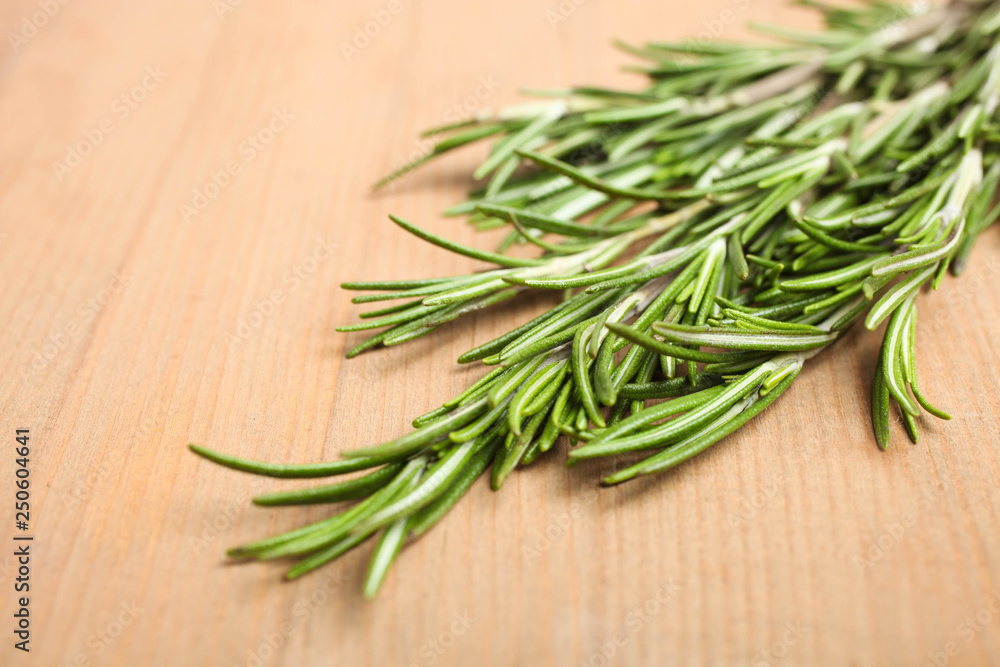 green sprig rosemary green sprig rosemary