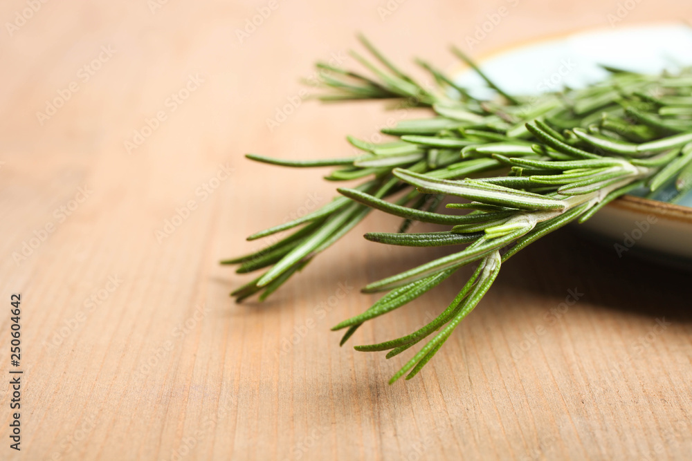 Fresh green rosemary branch Fresh green rosemary branch