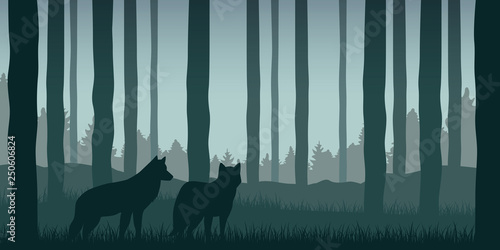 two wolves in green forest wildlife nature landscape vector illustration EPS10