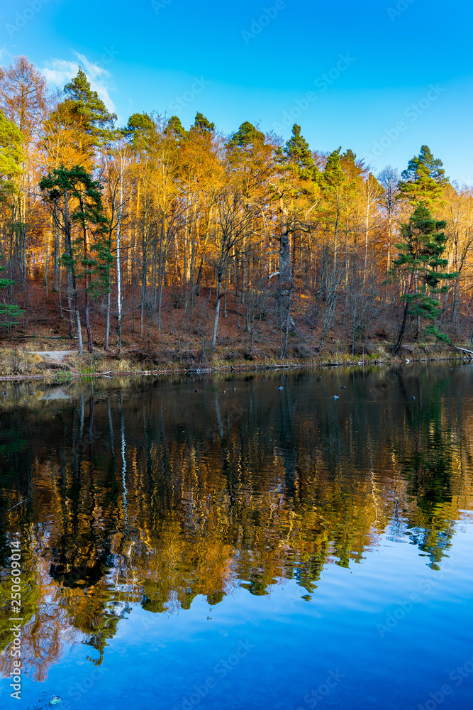 Magic colorful autumn style forest trees reflecting in silent lake water