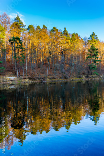 Magic colorful autumn style forest trees reflecting in silent lake water