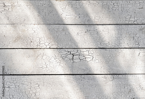 Canvas Print White wooden shabby weathered planks with sunlight, old light desk cracked paint