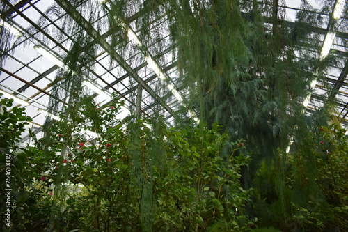 Greenhouse