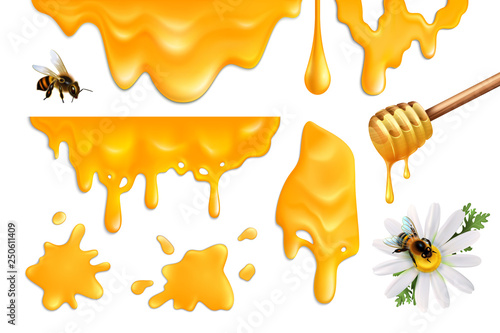 Honey Realistic Set