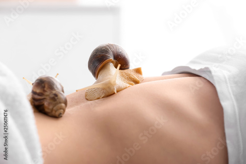 Fototapeta Naklejka Na Ścianę i Meble -  Young woman undergoing treatment with giant Achatina snails in beauty salon, closeup