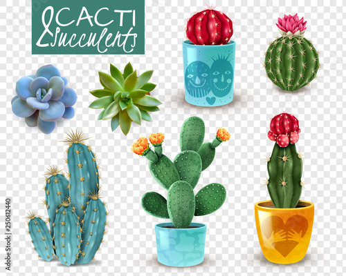 Cactus Succulent Realistic Transparent Set