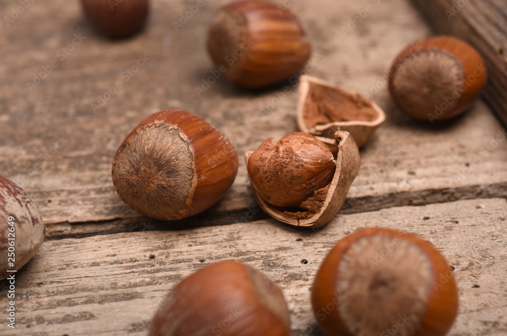 Obraz premium Hazelnut
