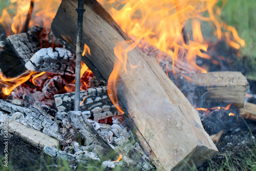 fire in the nature, fire for cooking in the nature
