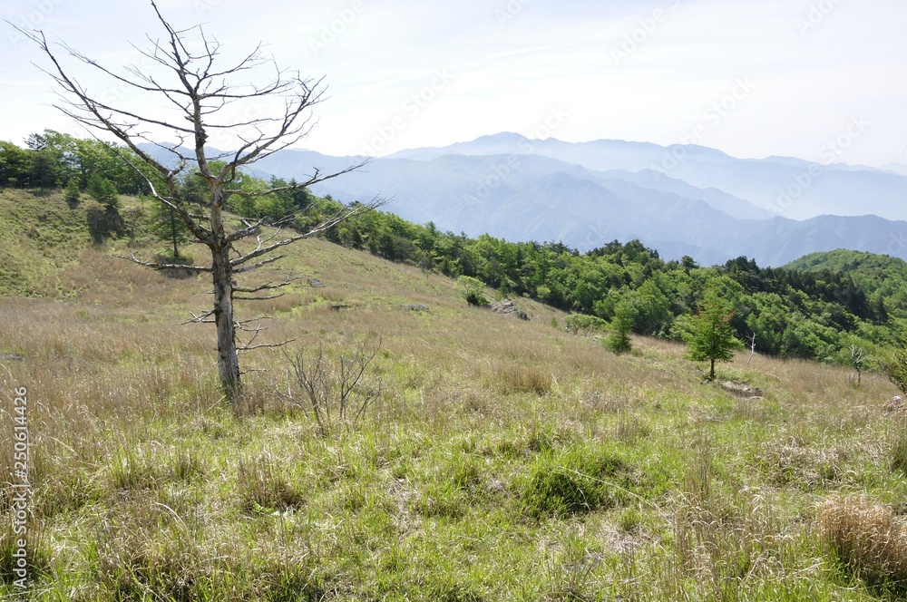Obraz premium 乾徳山の高原と大菩薩連嶺を望む
