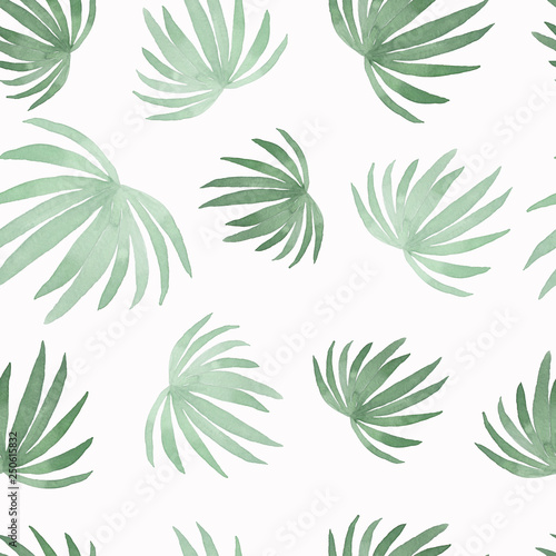 Watercolor pattern of painting coconut palm leaf,green leaves isolated on white background.Watercolor hand painted tropic leaves. © mayillustration