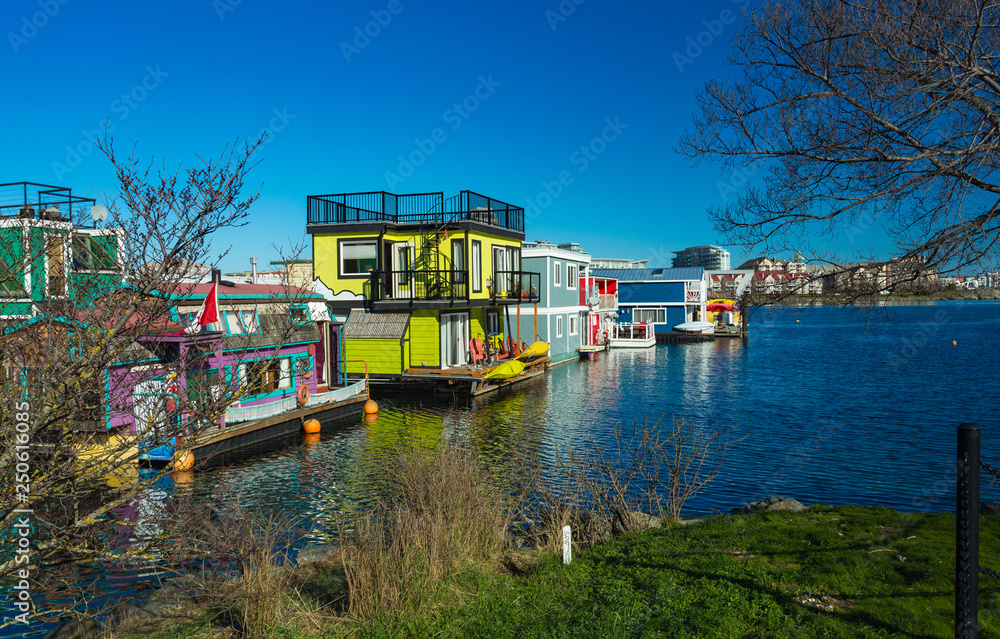 Naklejka premium Floating Home Village colorful Houseboats Water Taxi Fisherman's Wharf Reflection Inner Harbor, Victoria British Columbia Canada Pacific Northwest. Area has floating homes, piers, restaurants.