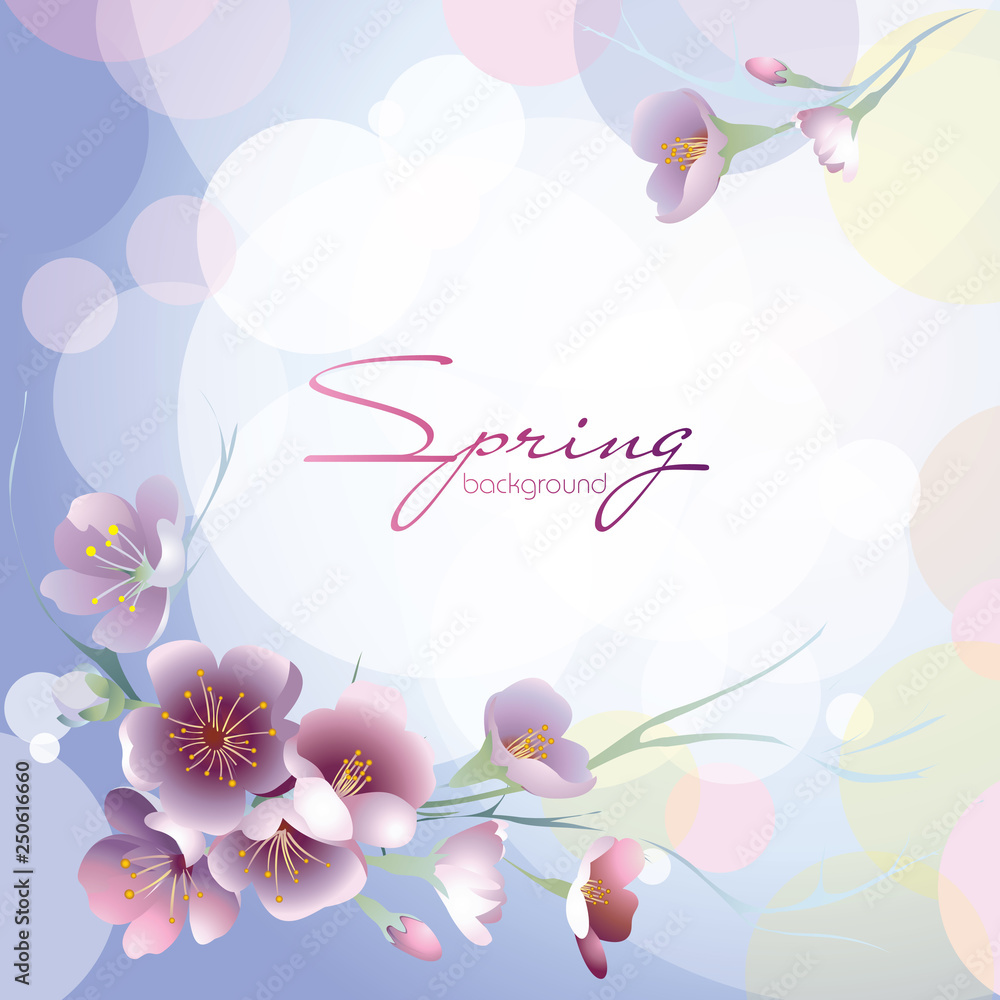 Lilac background with spring flowers Lilac background with spring flowers
