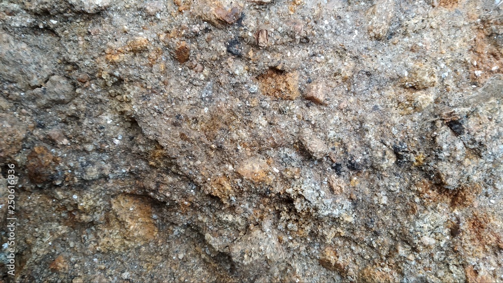 tierra arenosa primera tierra arenosa primera