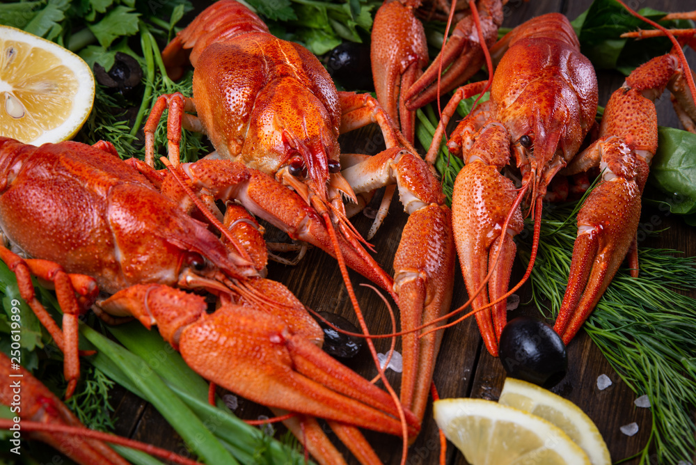 Crayfish. Red boiled crawfishes on table in rustic style, closeup. Lobster closeup. Crayfish. Red boiled crawfishes on table in rustic style, closeup. Lobster closeup.