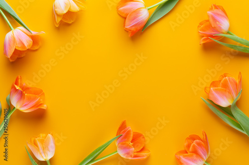 Yellow pastels color tulips on the yellow background. Retro vintage style.