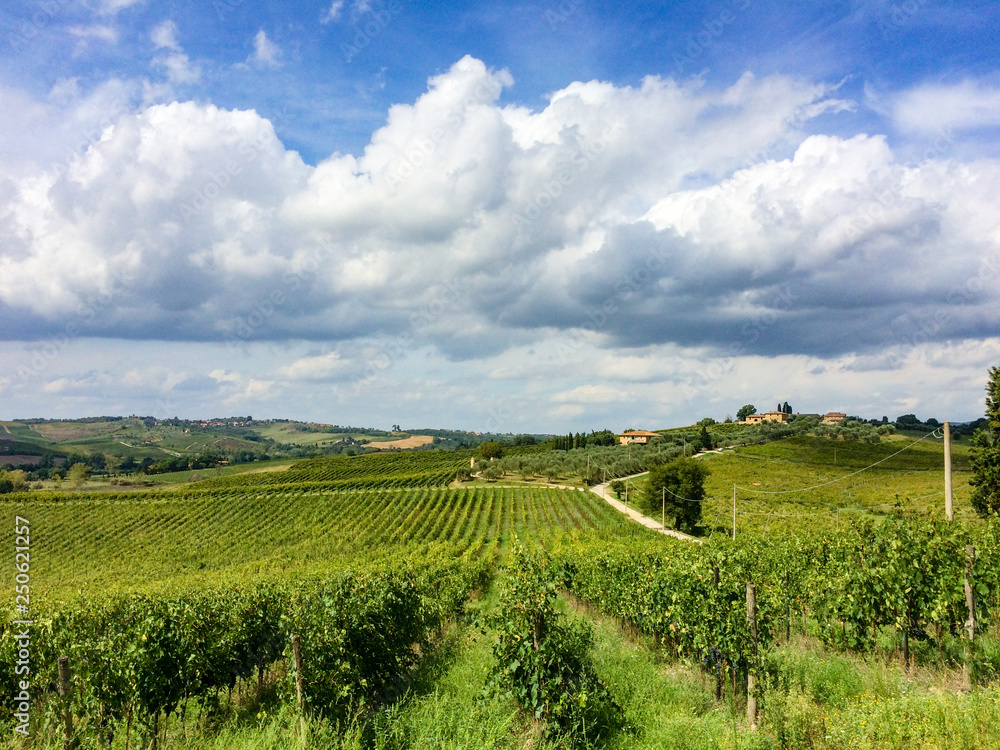 In Mitten der Weinberge der Tenuta di Monaciano befinden sich die Ferienhäuser die vom Besitzer des Weingutes betrieben werden. Hier baut man einen hervorragenden Chianti an.