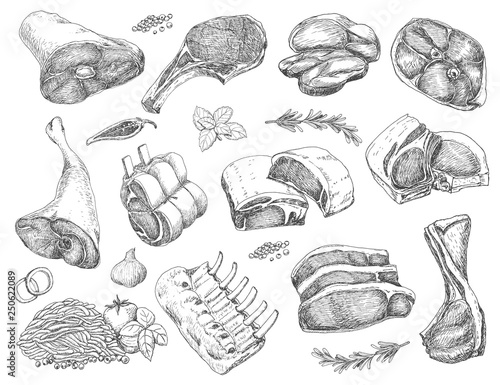 Vector set of different meats in sketch style