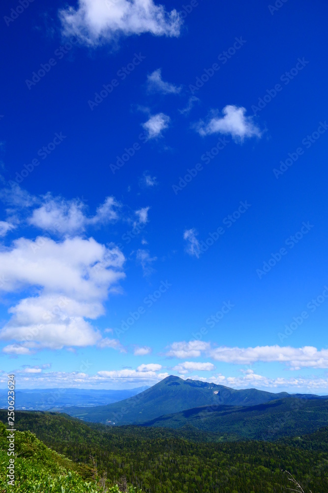 十和田八幡平国立公園。初夏の八幡平より岩手山を望む。岩手　日本。６月下旬。