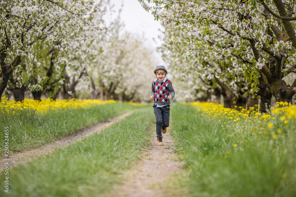 Happy blonde child boy in the gray classic hat and sweater running with emotions in the flowering sakura garden. Trees with white flowers and yellow meadow on the background