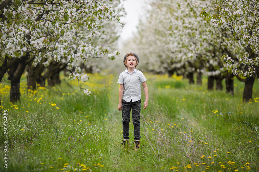 Portrait of a blonde boy with gray classic hat near the branch of white blossom cherry in the flowering garden