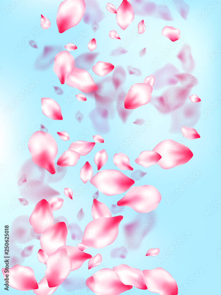 Pink sakura petals confetti flying and falling