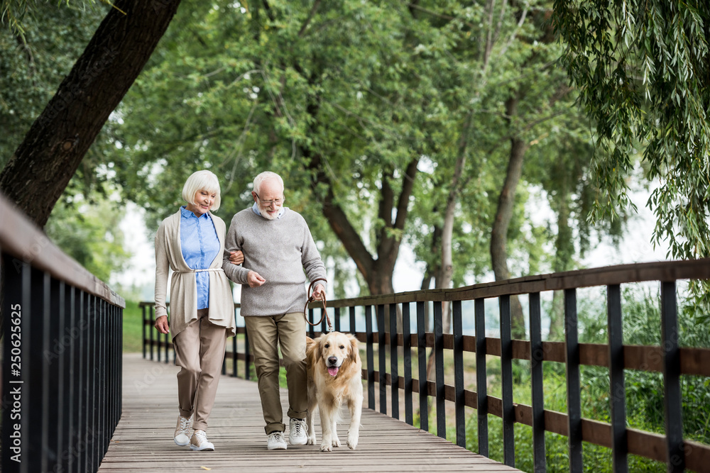senior couple walking across wooden bridge with dog on leash senior couple walking across wooden bridge with dog on leash