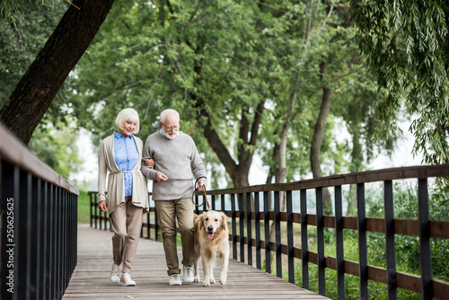 Photography senior couple walking across wooden bridge with dog on leash