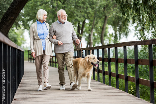 Photography happy senior wife and husband walking with dog in park