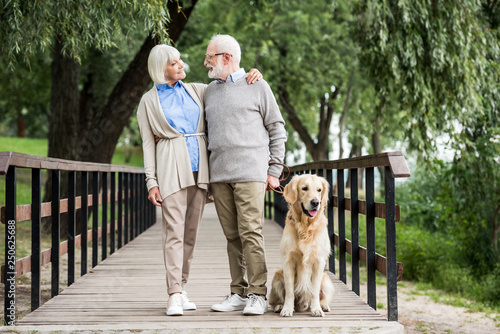 smiling senior couple hugging while walking with dog in park
