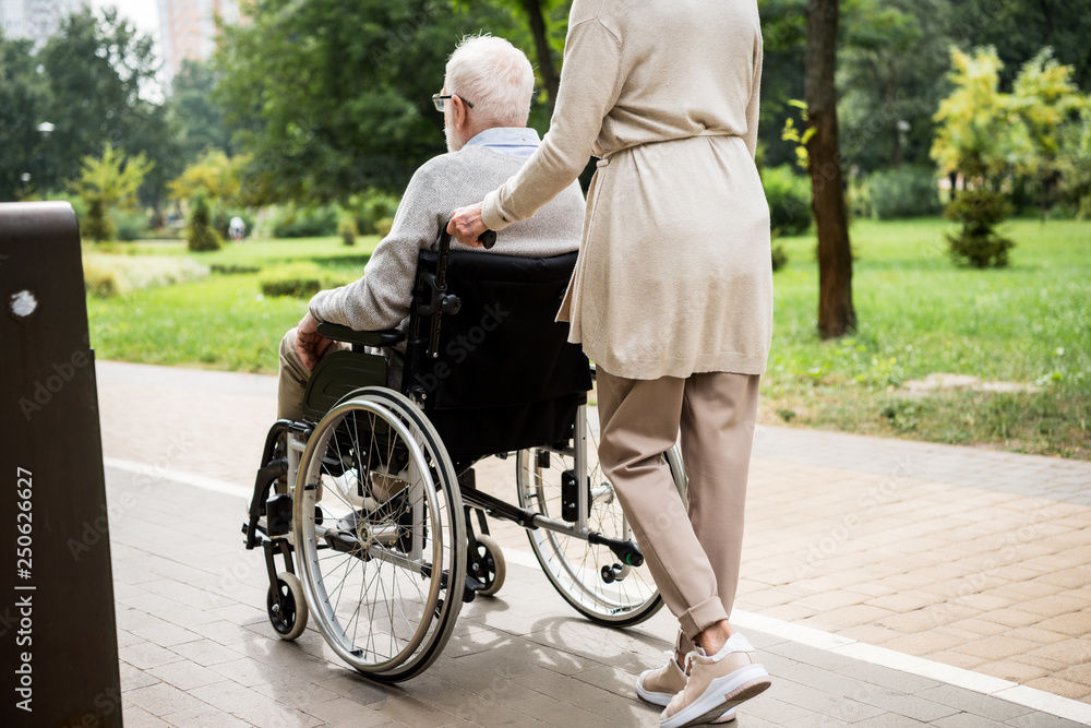 partial view of senior woman carrying husband in wheelchair while walking in park