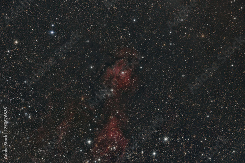imaged with a telescope and a scientific CCD camera
