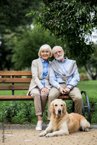 happy senior couple sitting on wooden bench and cute dog lying nearby on paved sidewalk