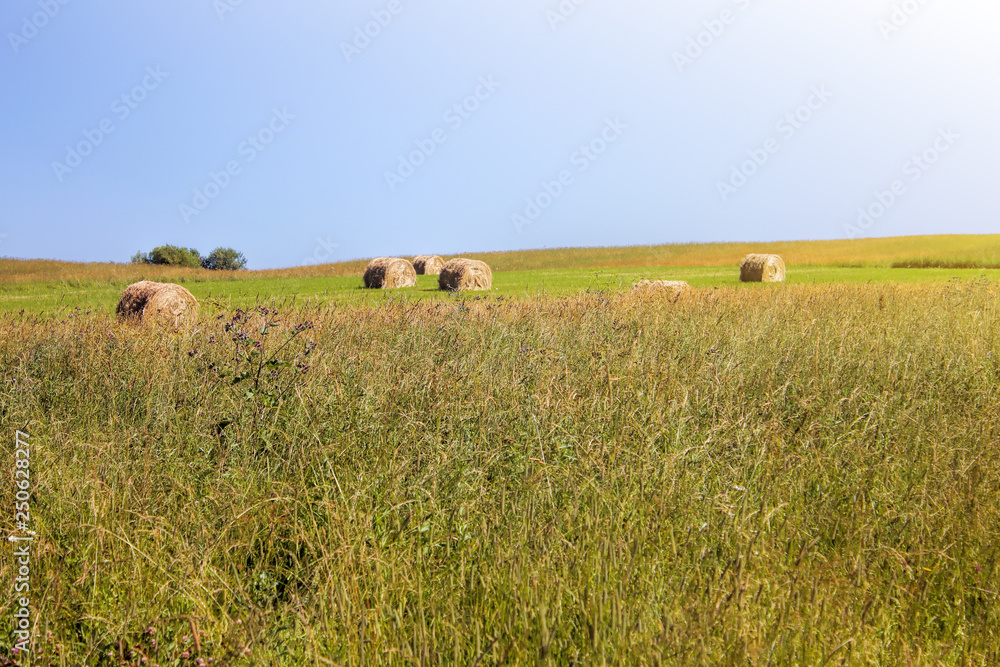 Fototapeta premium Twisted yellow haystack on agriculture field landscape, background