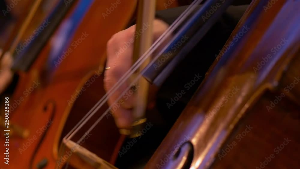 Classic Cellos Spiccato