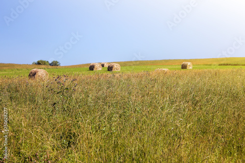 Twisted yellow haystack on agriculture field landscape, background