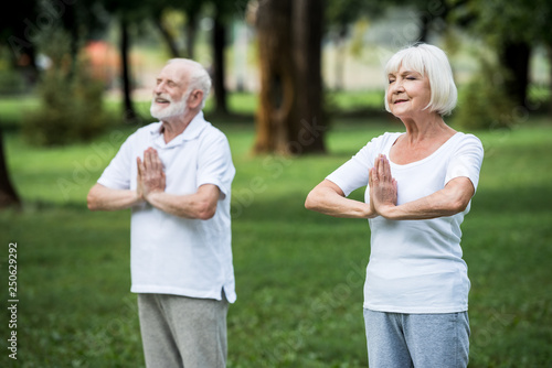 Senior couple practicing meditation sukhasana standing poses with folded hands