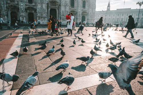 Pigeons at Cathedral Square, Milan, Italy