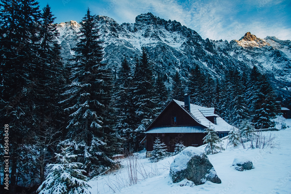 Winter vacation holiday wooden house in the mountains covered with snow and blue sky