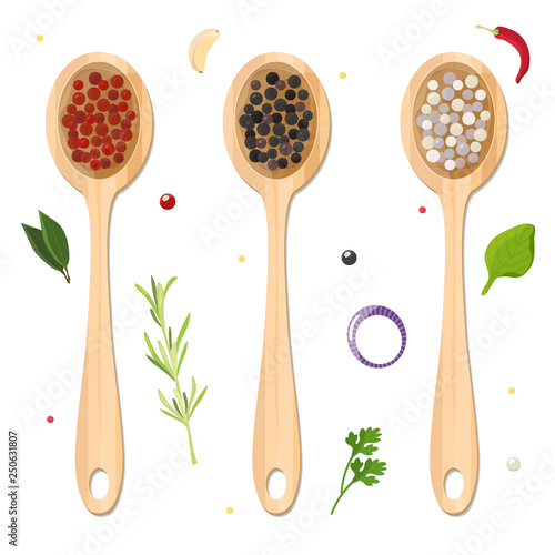 Different types of pepper in wooden spoons and spices, herbs, seasonings. Cooking concept. Vector illustration.