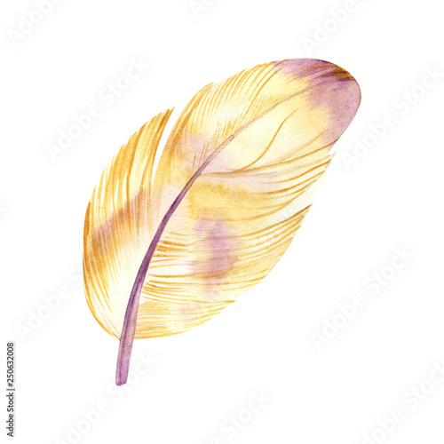 Watercolor feather on white background. It can be used for card, postcard, cover, invitation, wedding card, mothers day card, birthday card, poster, print