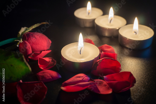 Four tea candles and rose petals in the dark