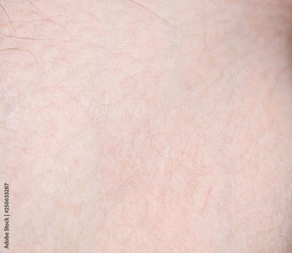 The texture of the human skin The texture of the human skin