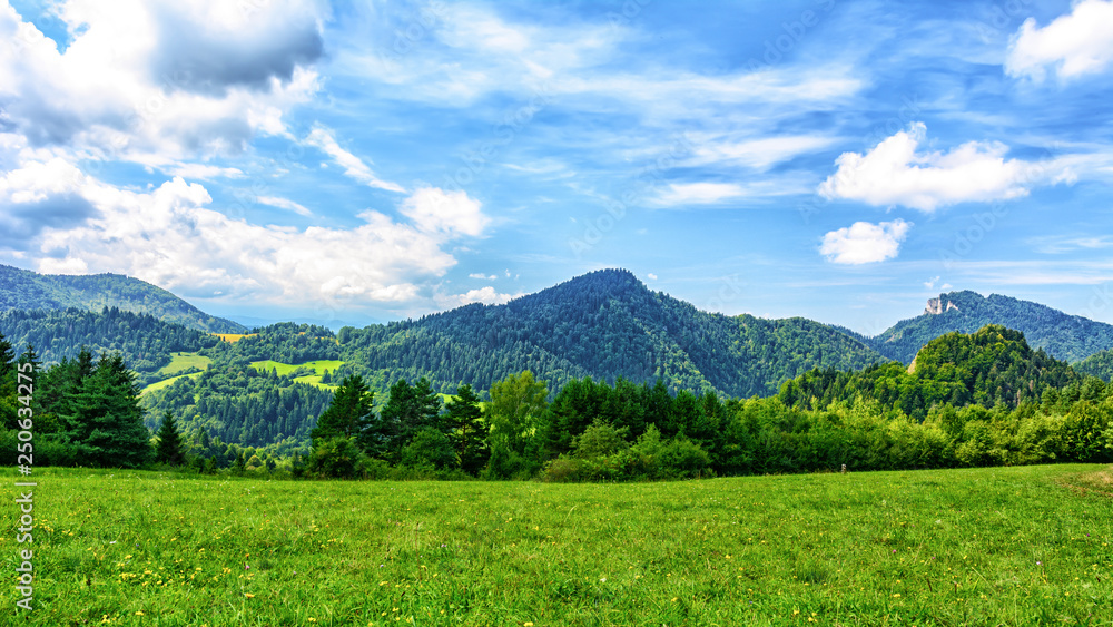 Summer Idyllic mountain landscape - Carpathian mountains on a blue sky with clouds background