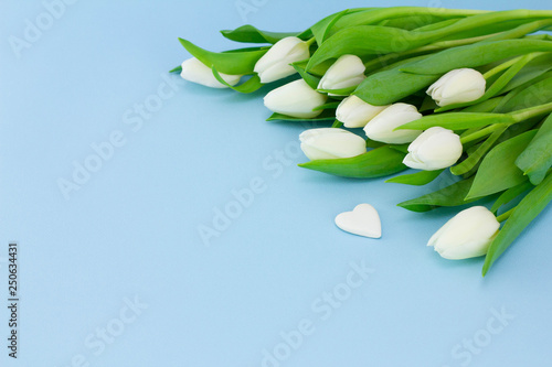 White flowers on blue background. Valentine's day background with bouquet of tulips and stone in the form of heart, card for Mother's day or abstract love concept, side view