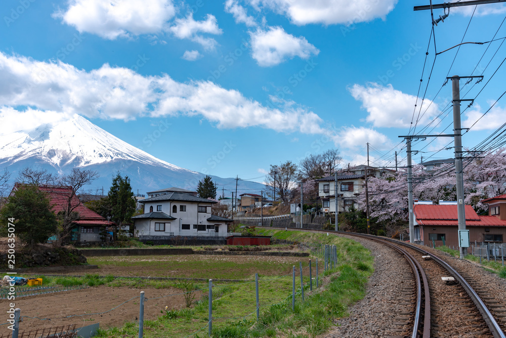 Fujikyu Railway train railroad track with snow covered Mount Fuji ( Mt. Fuji ) background in cherry blossom springtime. Fujiyoshida City, Yamanashi Prefecture, Japan
